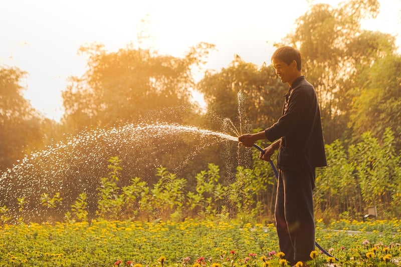 Gardening Image
