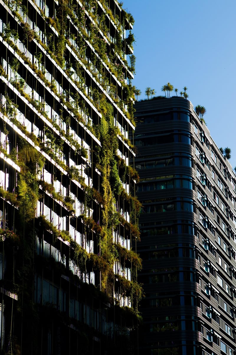 Hanging Plant Wall